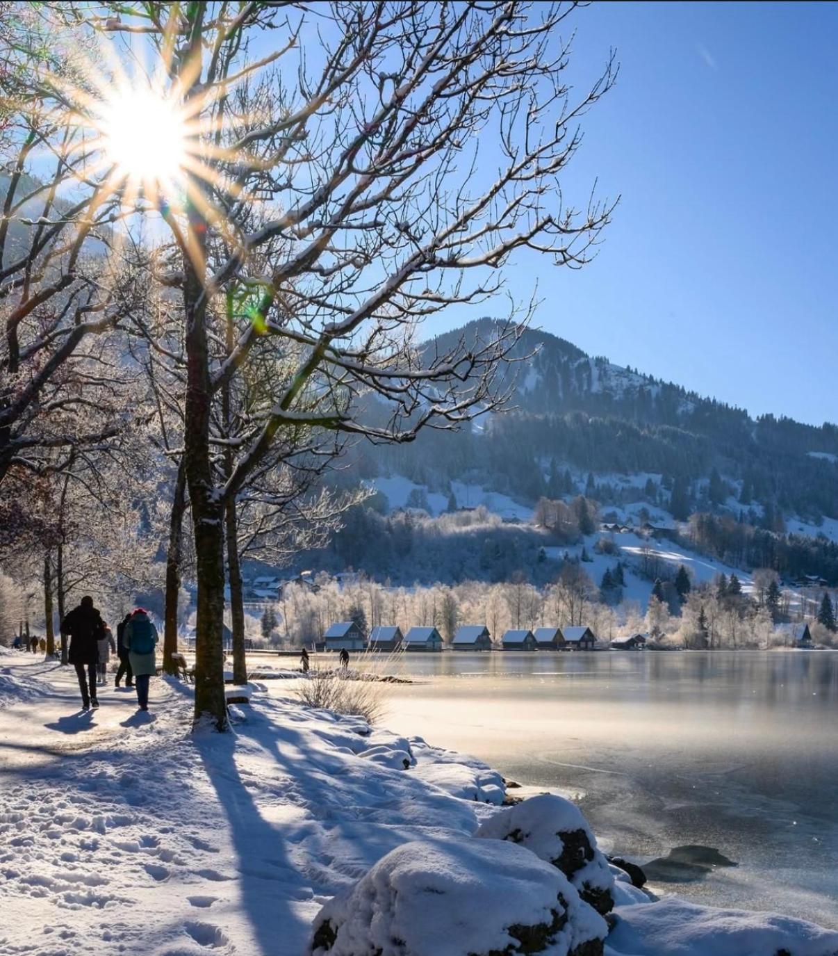 Ferienwohnung Immenstadt Im Allgaeu- Ruhig, Gemuetlich & 5Min Zum Alpsee Extérieur photo